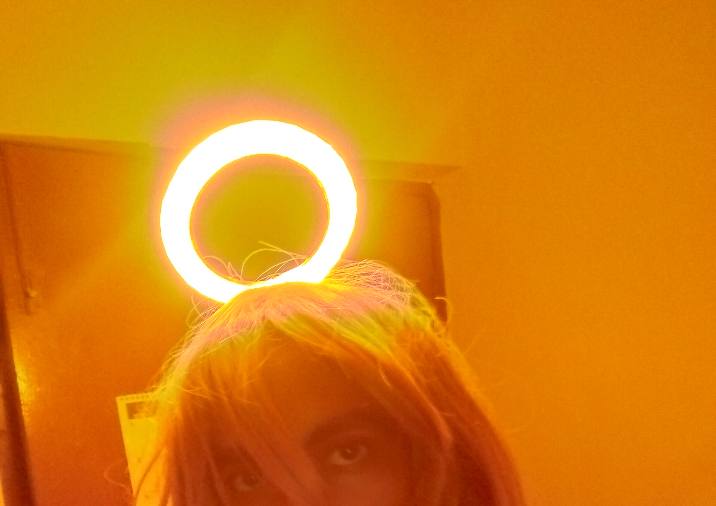 GIF of the program working